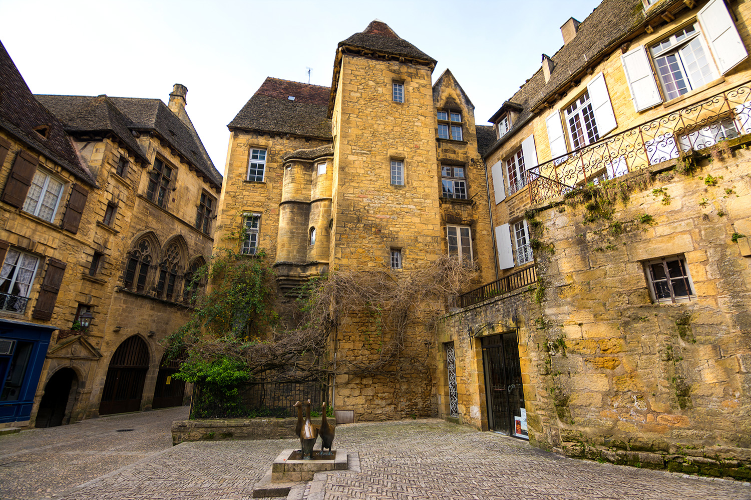 Sarlat place de l'Oie