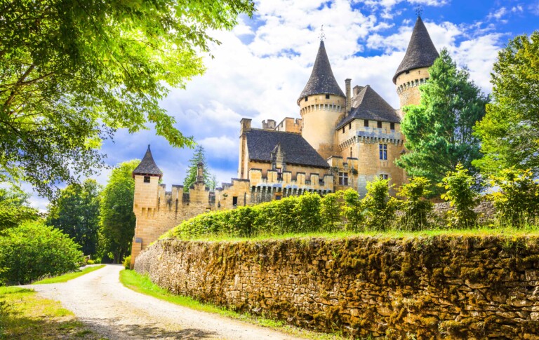 chateau puymartin