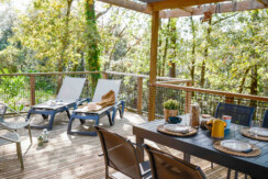 02102025-DSCF0619 02102025-DSCF0619