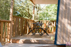 02102025-DSCF0526 02102025-DSCF0526