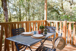 02102025-DSCF0528 02102025-DSCF0528