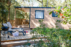 02102025-DSCF0530 02102025-DSCF0530