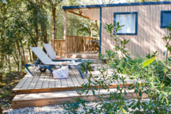 02102025-DSCF0531 02102025-DSCF0531