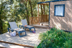 02102025-DSCF0536 02102025-DSCF0536