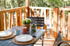 02102025-DSCF0539 02102025-DSCF0539