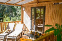 02102025-DSCF0567 02102025-DSCF0567