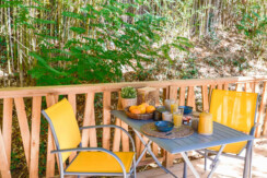 02102025-DSCF0587 02102025-DSCF0587