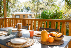 02102025-DSCF0592 02102025-DSCF0592